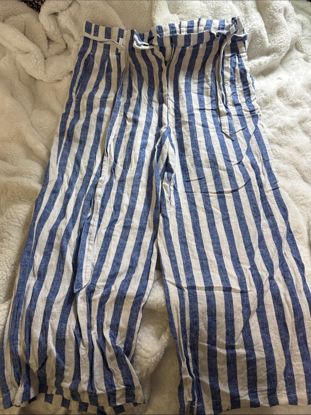 J. Crew Blue and White Vertical Stripe Chinos